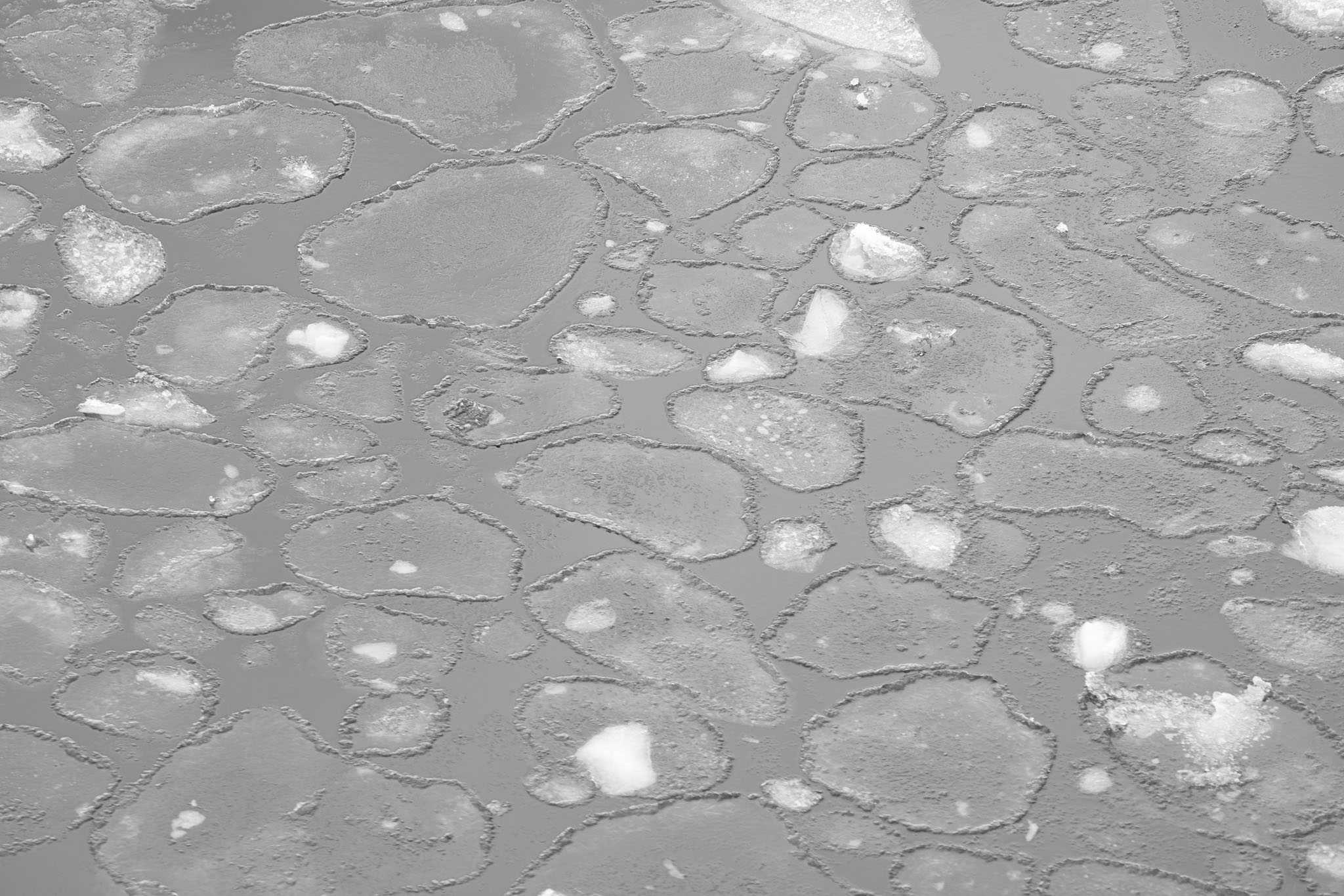 Pancake Ice Hanusse Bay
