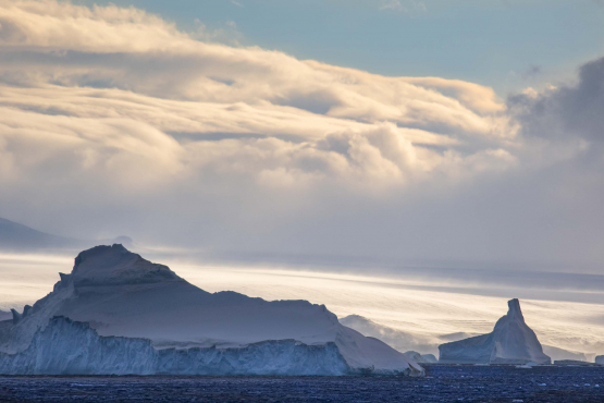 Bransfield Antarctica