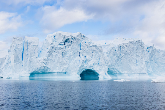 Iceberg Andvord Bay