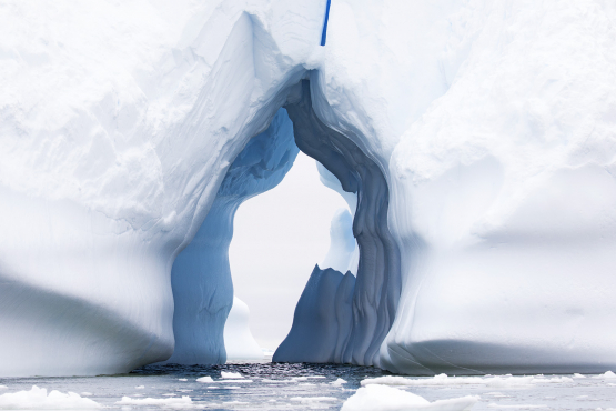 Iceberg Hanusse Bay